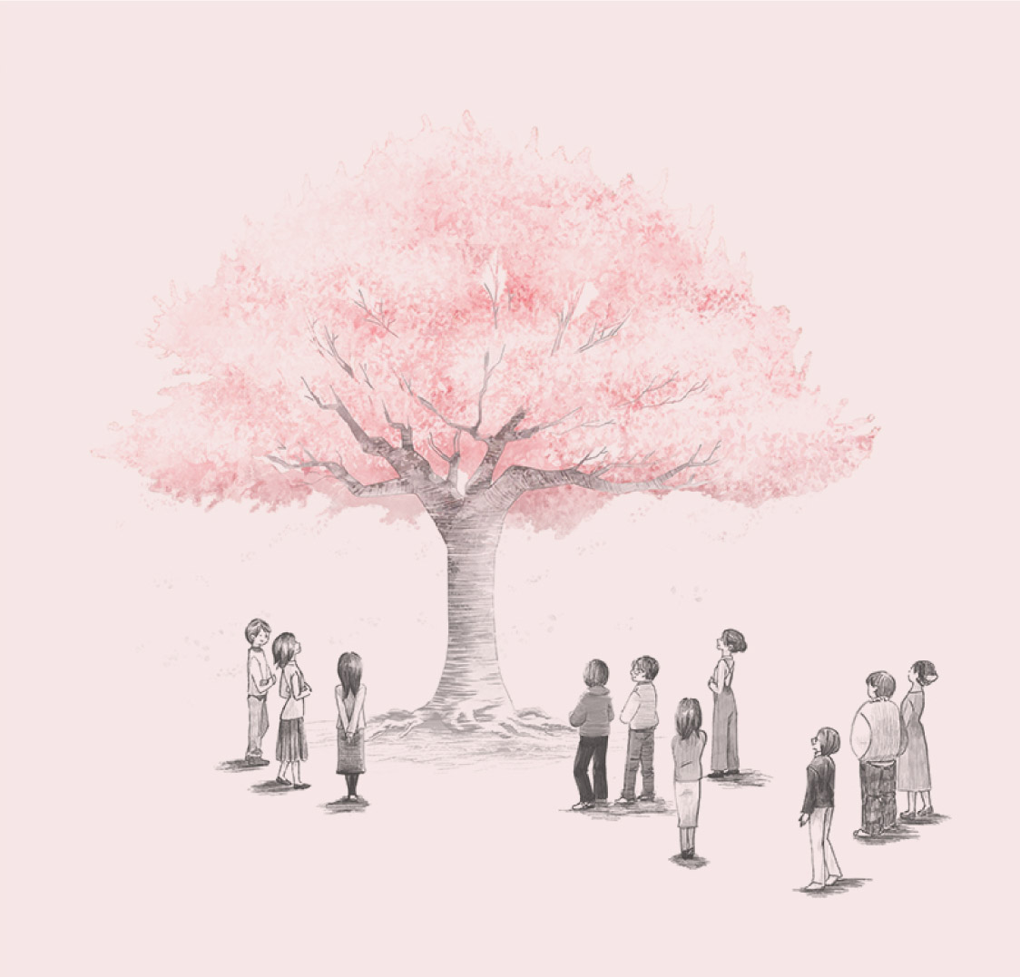 満開の桜イラスト